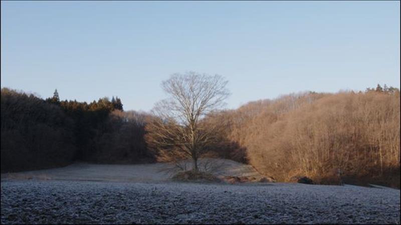 3829977477241456497432455900156467392420990n | 山形催し物カレンダー