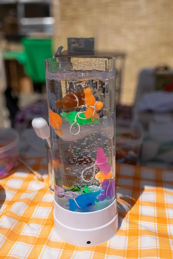 DSC0097 | 山形催し物カレンダー